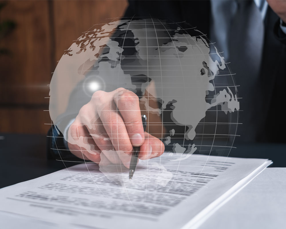 Removal Center (2024 – Legal Assistance, Attorney Support, and Appeals)